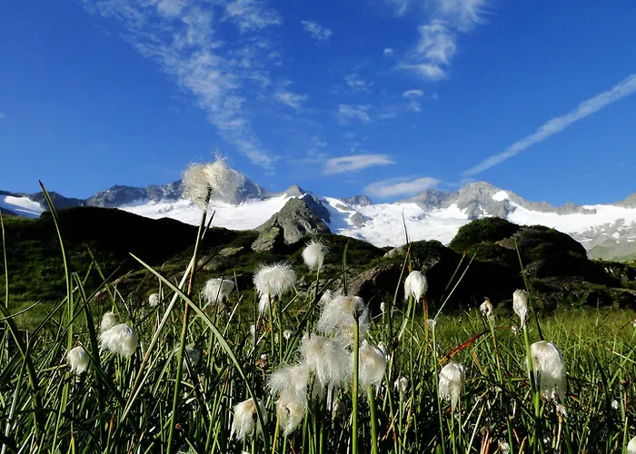 Hotel Strass - Sport & 4*